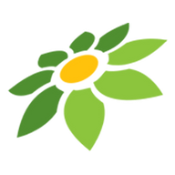 SLOTONLINE